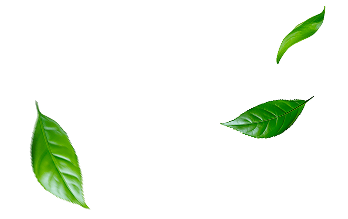 Performance Highlights leaf 01 - Fusheng Precision Co., Ltd.