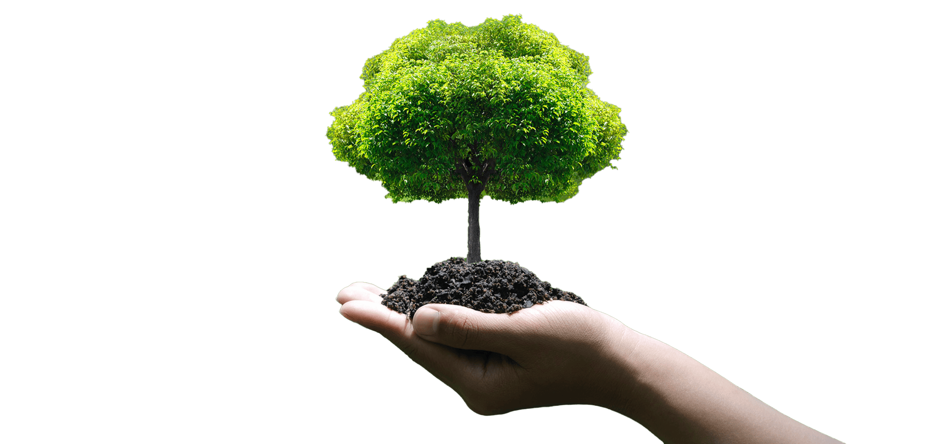 esg-home-environment-hand2 - Fusheng Precision Co., Ltd.