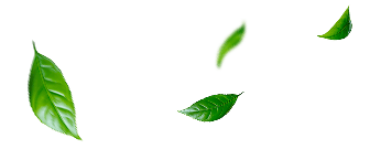 esg-home-environment-leaf - Fusheng Precision Co., Ltd.